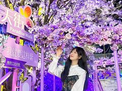 -龙湖南京江北天街