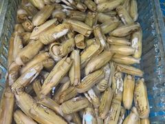 -良师门滨海人家·海鲜·家常菜(滨海城店)