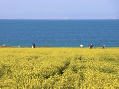 -青海湖国家重点风景名胜区