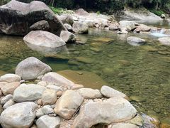 -大鄣山卧龙谷景区