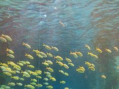 -海合安青岛极地海洋公园