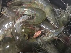 有生虾壳&nbsp;还有一块熟的&nbsp;-盒马鲜生(大成店)