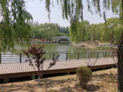 -大兴滨河森林公园