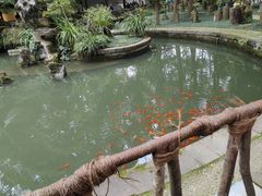 -成都杜甫草堂博物馆