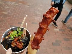 -黑色经典臭豆腐·湖南特产(潇湘文化店)