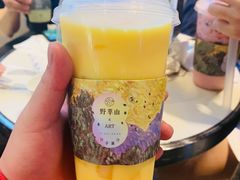 -野萃山·潮汕厚果汁(十亩地店)