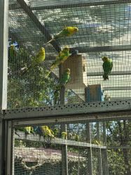 -萌宠亲子动物乐园(槐房万达店)