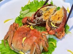 熟醉六月黄-望乡楼上海菜(日月光店)