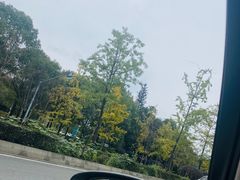 -南湖梦幻岛