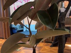 -志明眷村·台式融合菜·宵夜