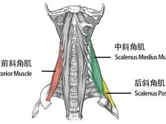 -OneFit健身(汇锦城店)