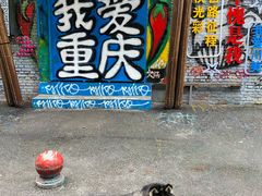 -黄桷坪涂鸦艺术街