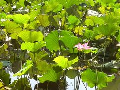 -韶山毛泽东同志故居