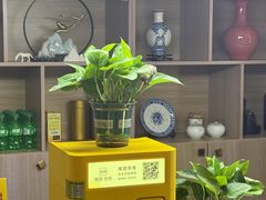 -耳域躺式采耳SPA馆(新街口店)