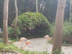 -广东茂名森林公园