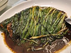 葱烤千岛湖野生扁鱼-宏玲餐厅(四川南路店)