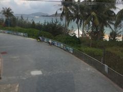 -亚龙湾中心广场