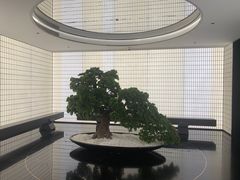 -德基艺术博物馆