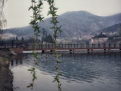 -慢丽江·云南野生菌土鸡锅(西山店)