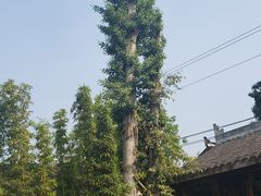 -驿舍·民國老营房院子私房菜(科学会堂店)