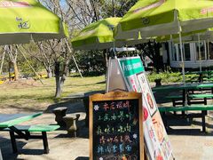 -上海共青森林公园