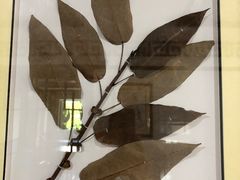 -杭州市萧山区中医院