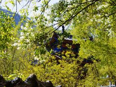 -秦岭终南山世界地质公园翠华山景区