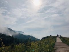 -白草畔自然风景区