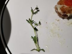 -太二酸菜鱼(广州IFC国金天地店)
