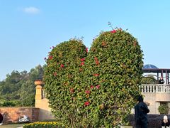 -东莞植物园