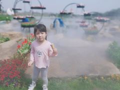 -荷兰花海
