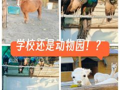 -北京市海淀外国语实验学校