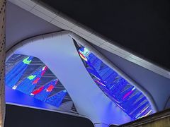 -蛙小侠(珠海华发商都店)