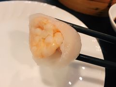 添运来虾饺皇-添运来(茶园奥园广场店)