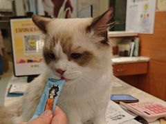 -瑞派申生动物医院·24H夜诊·国际动物医疗中心·骨外科(吴中路店)