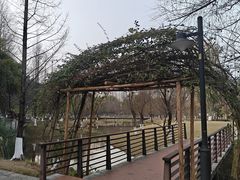 -沐仙湖湿地公园