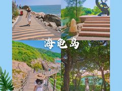 -广东惠东海龟国家级自然保护区