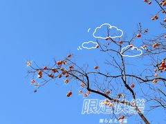 -香山公园