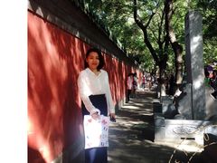 -北京国子监胡同