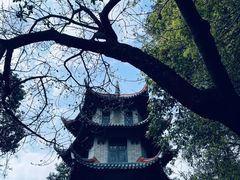 -成都杜甫草堂博物馆