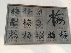 -无锡梅园公园