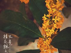 -颐和园