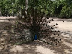-秦皇岛野生动物园