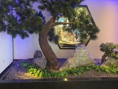 -绿茶餐厅(成都大悦城店)