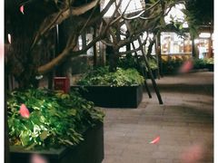 -厦门日月谷温泉渡假村