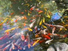 -雅鲁激流探险漂流