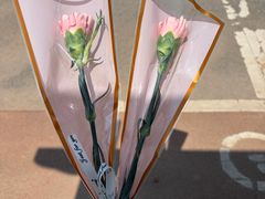 -石燕湖生态旅游景区
