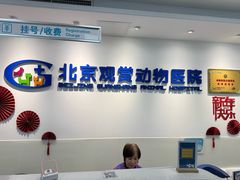 -北京观赏动物医院·24小时大型综合·猫专科·异宠专科