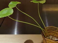 -紫· 割烹  Kappo Murasaki