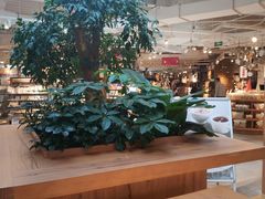 -MUJI无印良品(顺城店)